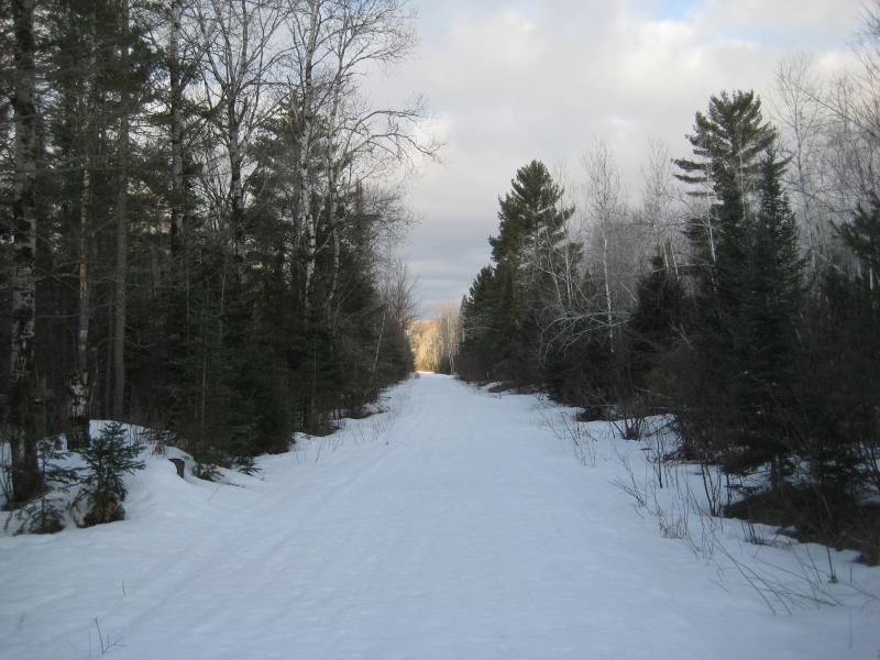 A long walk over snowy roads