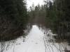 Narrow track through low brush