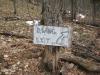 Odd sign along the way