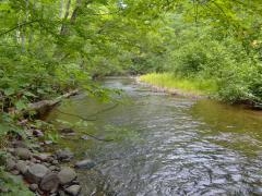 First view of Otter River