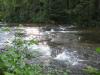 Tiny drops along Otter River