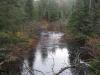 Downstream beaver dam