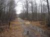 Gated road leading along the creek