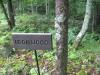 Informative forest path