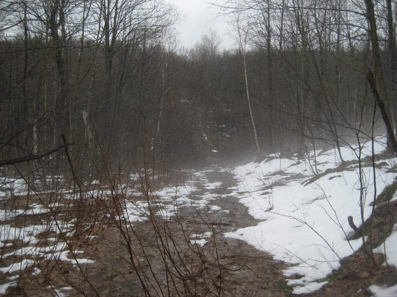 Mist rising up from the road