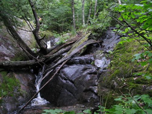 Small waterfall along the grade