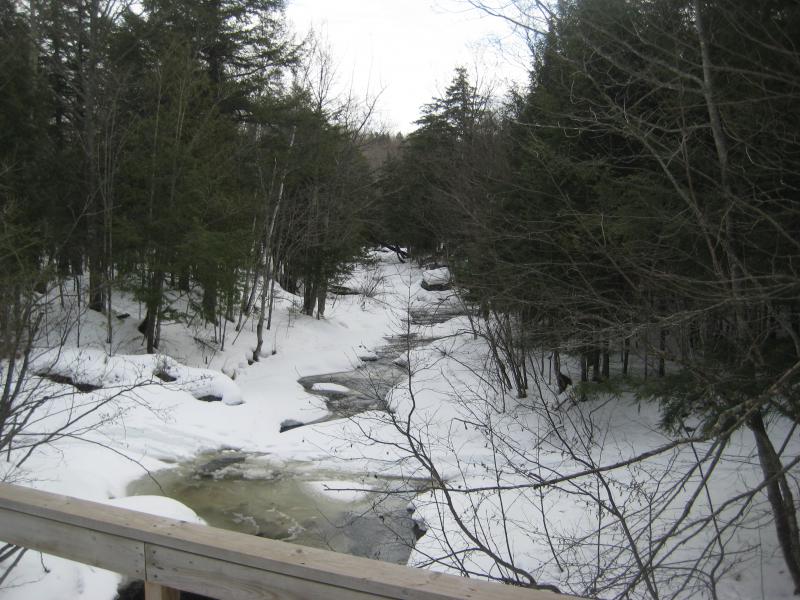 Looking downriver from the bridge