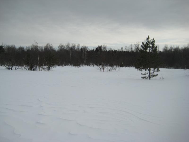 A barren land of snow