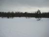 A barren land of snow