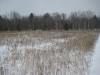 An open, snowy meadow