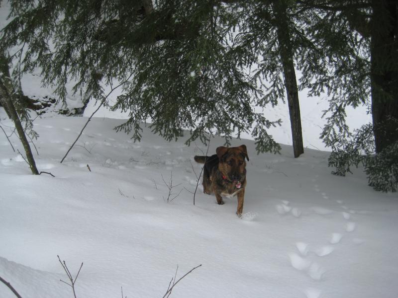 Logan leaping up from the creek below