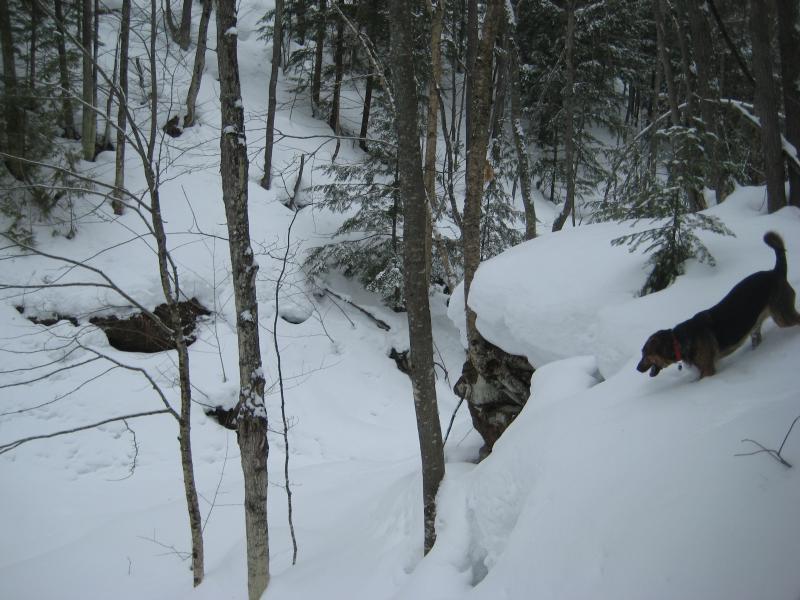 Logan peering over the lip of the gorge