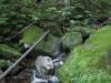 Mossy rocks and clutter