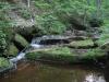 Tiny slabs along the creek