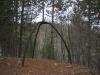 Odd little metal structure in the woods