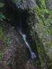 Dropping moss and rocks around the falls