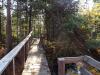 Pleasant footbridge across the Dead River