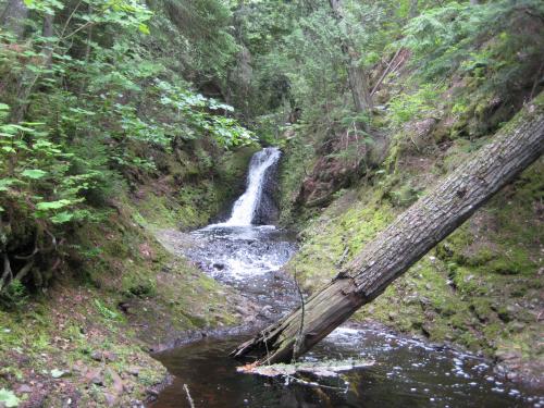Looking up at the named Silver Creek Falls