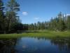 Swampy lake near the old mine