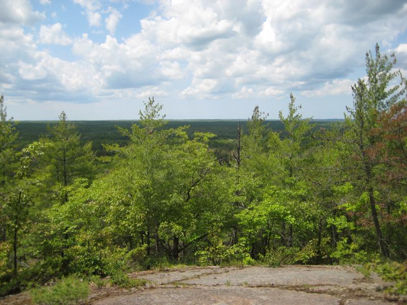 Bald top and view off of Silver Mountain