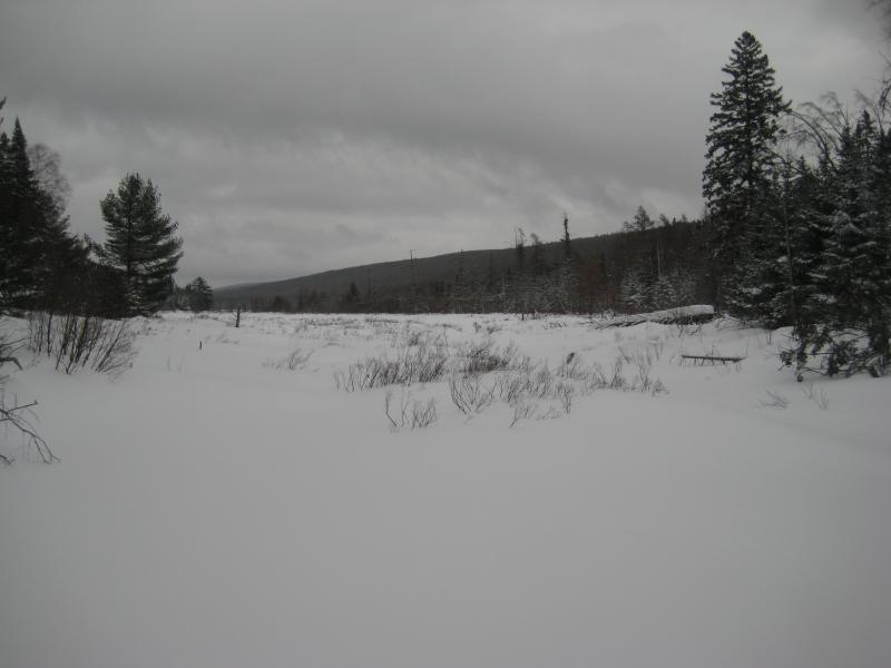 Looking across the lake