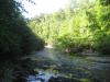 Looking down the sunny river