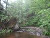 Looking up the misty, unearthly gorge