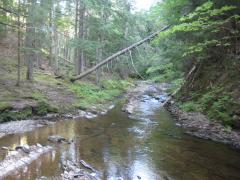 Calm waters between falls