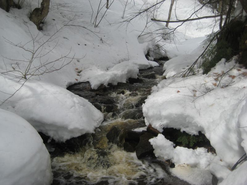 Flowing water between snowy banks