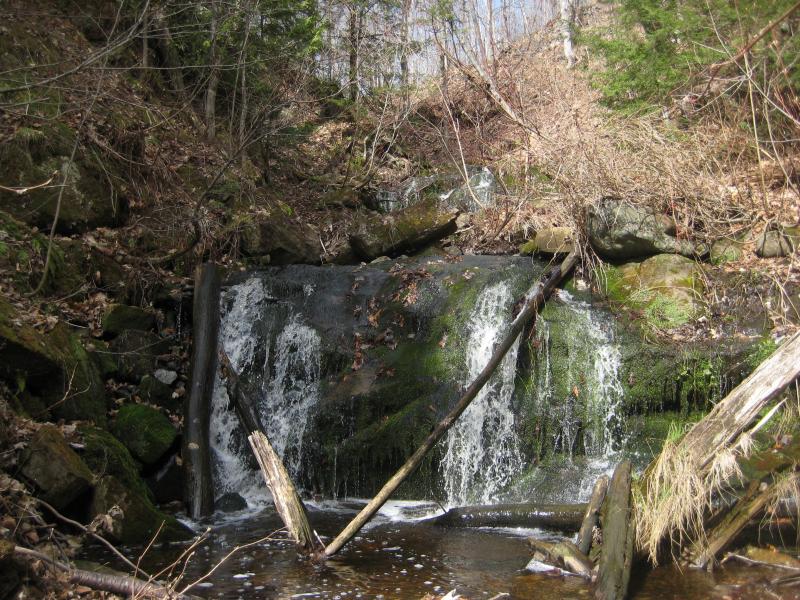 Rocks and mossy logs around the creek