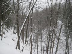 Snowy gorge below