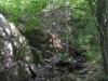 Jagged rocks in the woods