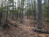 Fall leaves on the narrow trail