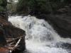 Swollen Sturgeon River Falls