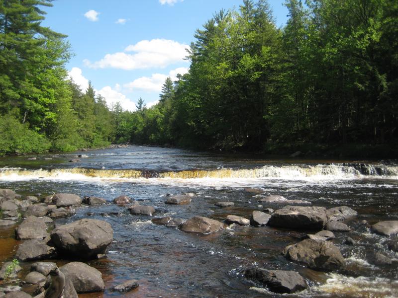 A sunny day on the river
