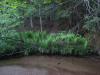Little Huron River