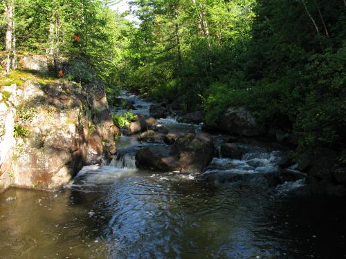 Tiny drops on Schweitzer Creek