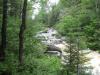 Upper drop behind the pines