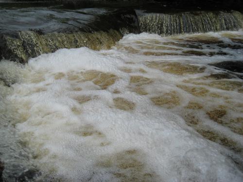 Foam on the brown waters