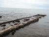 Old dock remains stretching from the rocky beach