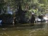 Green, murky water of Dead River