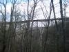 Trestle outlined in the woods