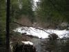 Calm swampy sections