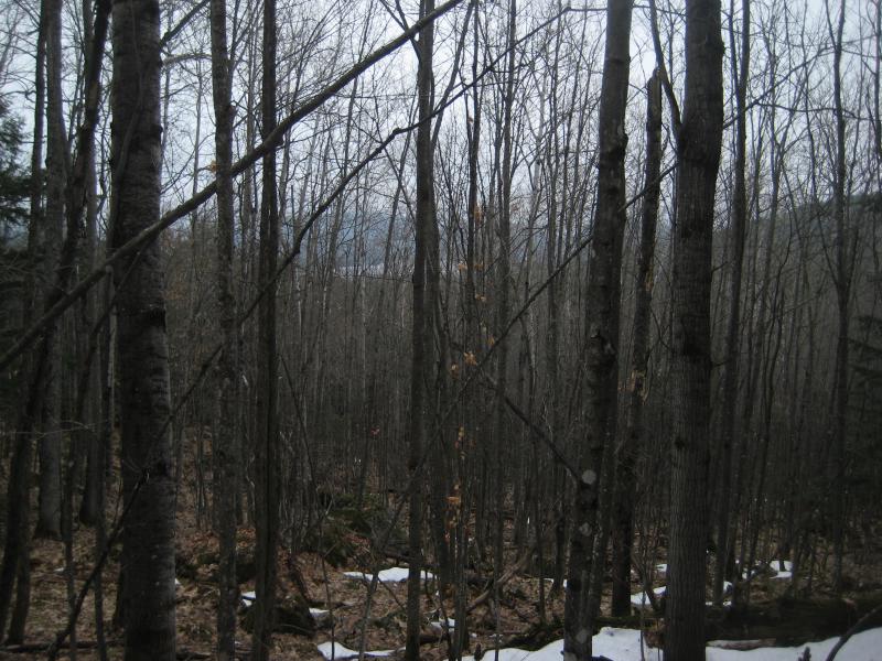 Mountain lake in the far distance
