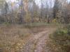 Fall barren on the trail