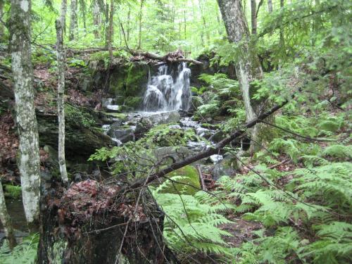 Blocky little plunges surrounded by green