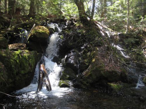 Pretty little wooded waterfall