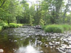 Rocky, sluggish river below the falls