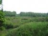 Swamp and downstream powerlines