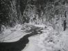 Icy scene on the Carp River